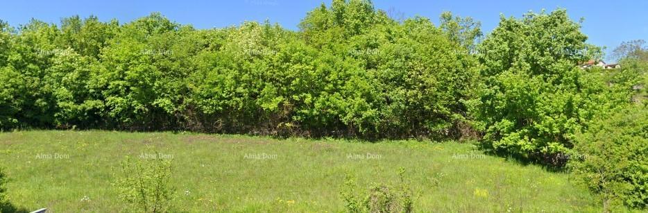 Land For sale TINJAN