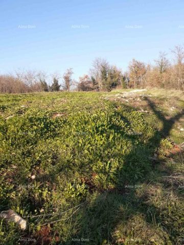 Terrain à vendre 1700 m² – Brtonigla
