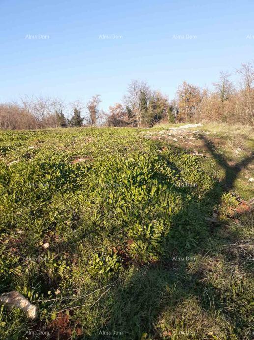 Land For sale BRTONIGLA