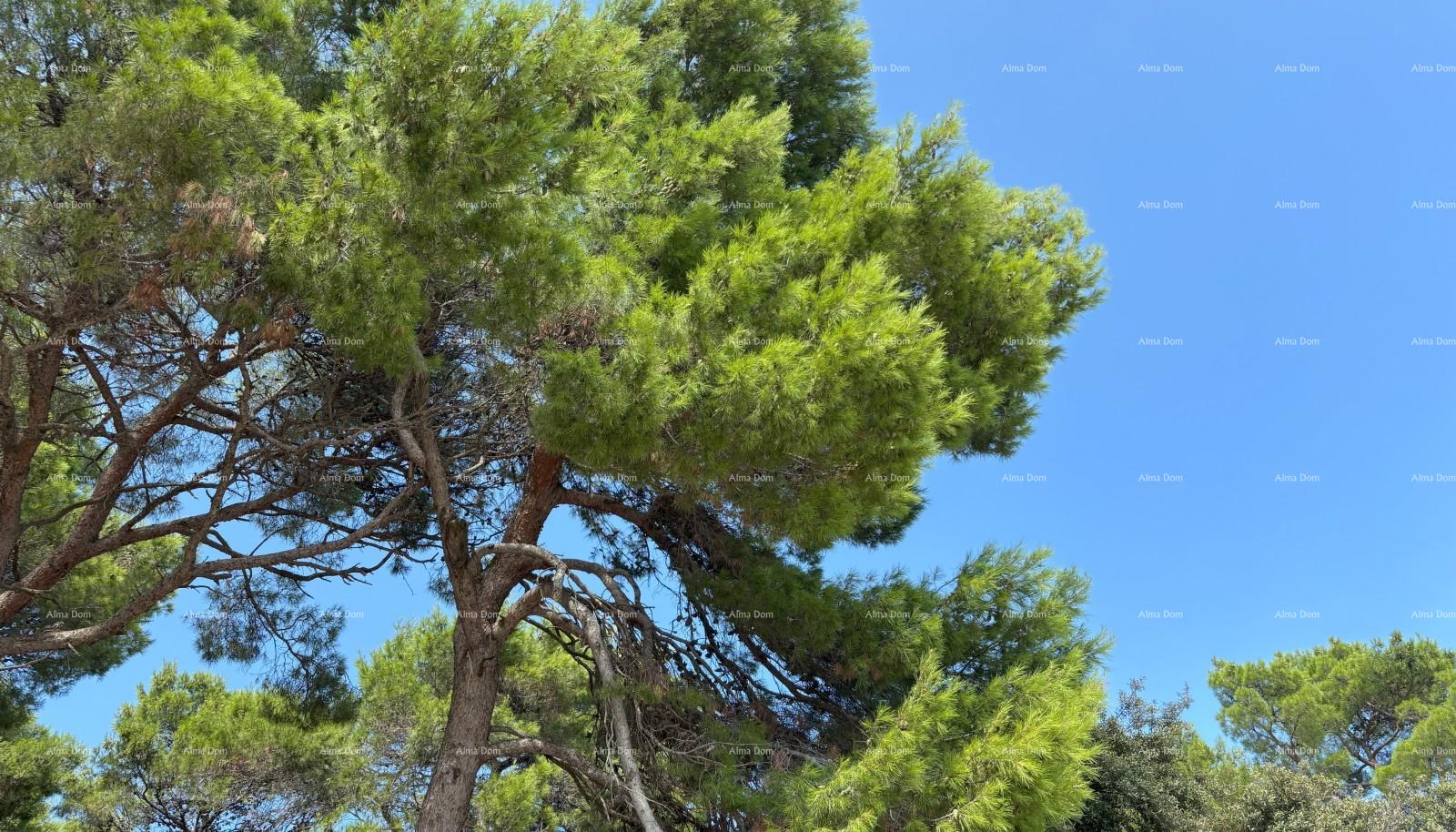Apartmán Na predaj - ISTARSKA ROVINJ