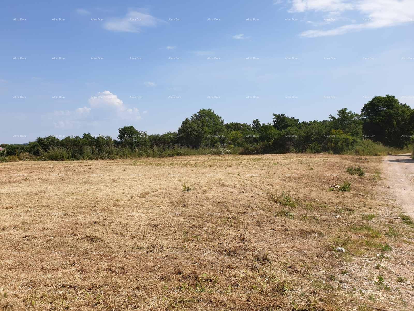 Land For sale - ISTARSKA Ližnjan