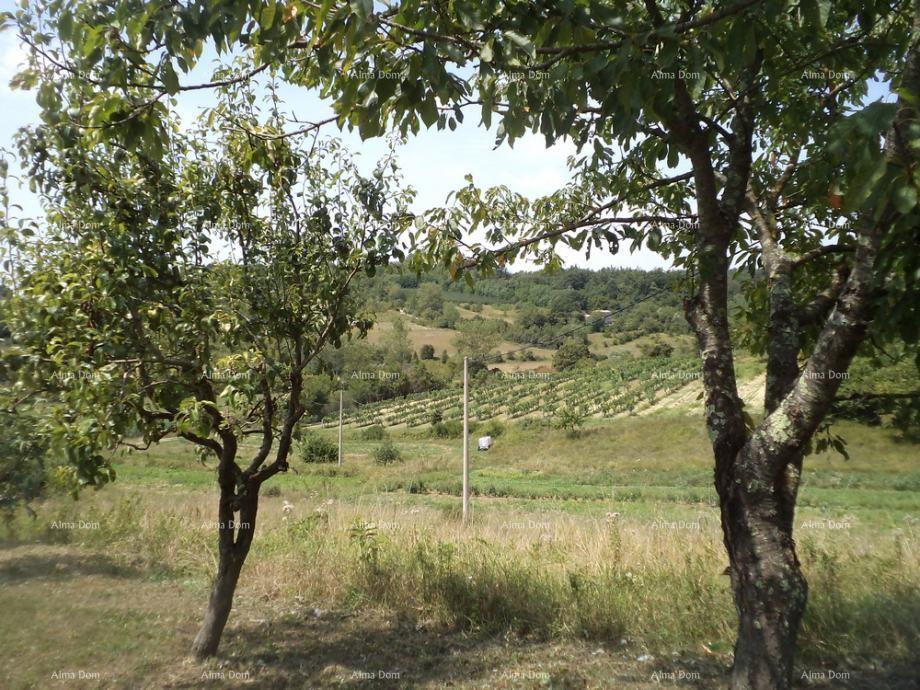 Działka Na sprzedaż - Istarska Poreč - foto 1/5