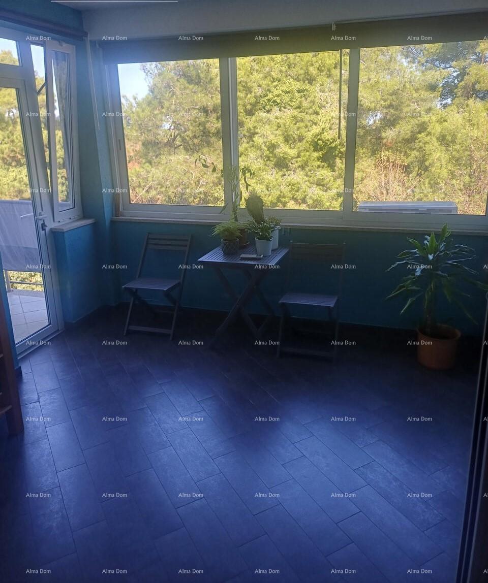 Flat For sale - ISTARSKA BUJE