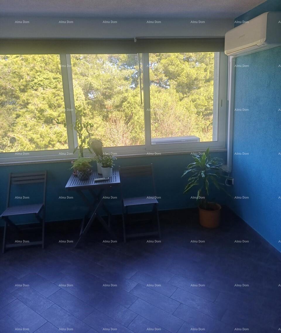 Flat For sale - ISTARSKA BUJE