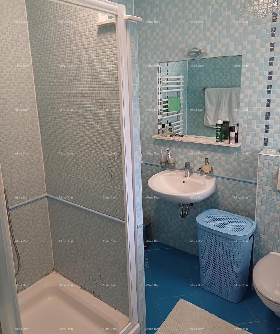 Flat For sale - ISTARSKA BUJE