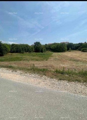 Terrain À vendre - Istarska Sveti Lovreč - foto 3/3