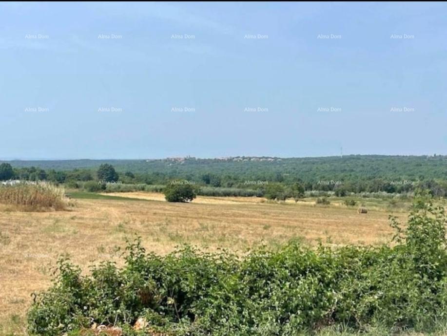 Terrain À vendre - Istarska Sveti Lovreč - foto 1/2