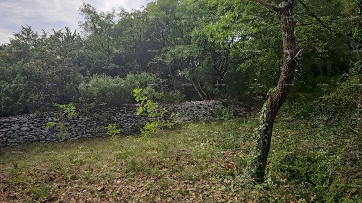 Zemljište na prodaju 11595 m² – Štokovci