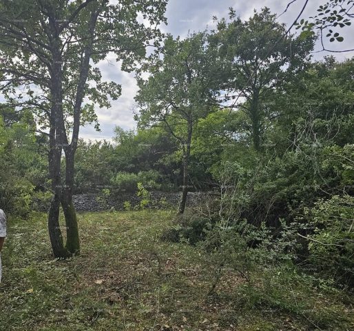 Land For sale - Istarska Svetvinčenat - foto 3/5
