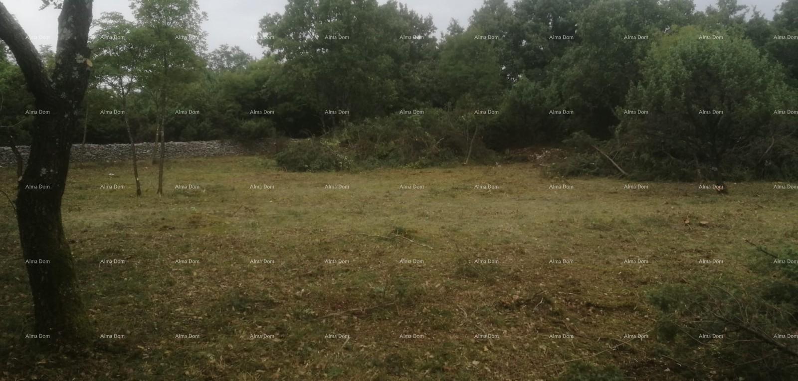Terrain À vendre - ISTARSKA SVETVINčENAT