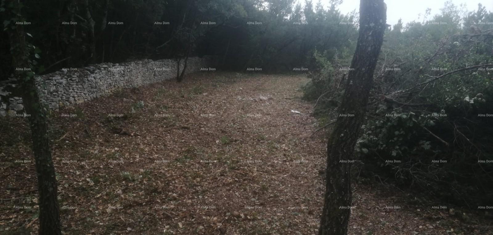 Terreno In vendita - ISTARSKA Svetvinčenat