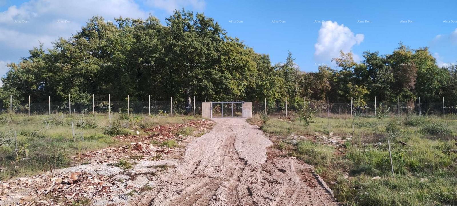 Hiša Na predaj - Istarska Svetvinčenat - foto 2/2