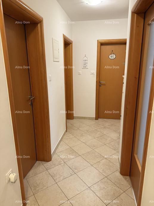 Stan Na prodaju - ISTARSKA ŽMINJ