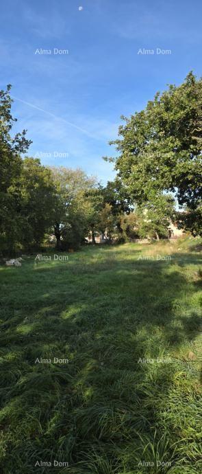 Terrain À vendre - Istarska Kanfanar - foto 1/2