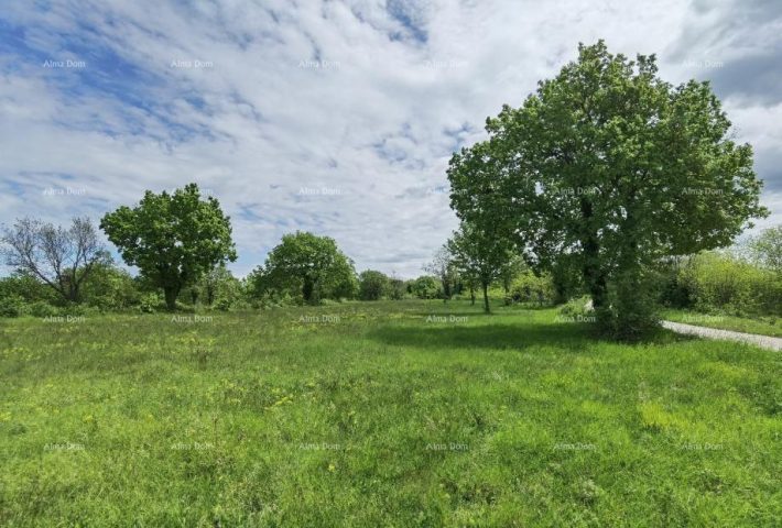 Grundstück zu verkaufen 12000 m² – Anžići