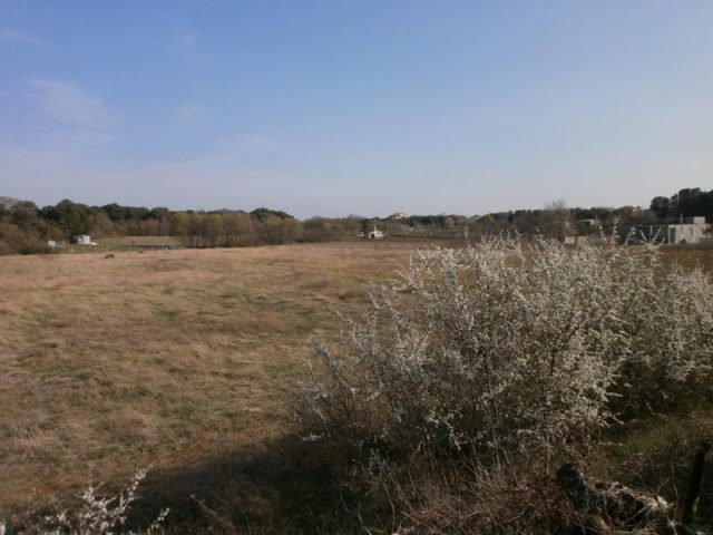 Land For sale - Istarska Pula - foto 2/4