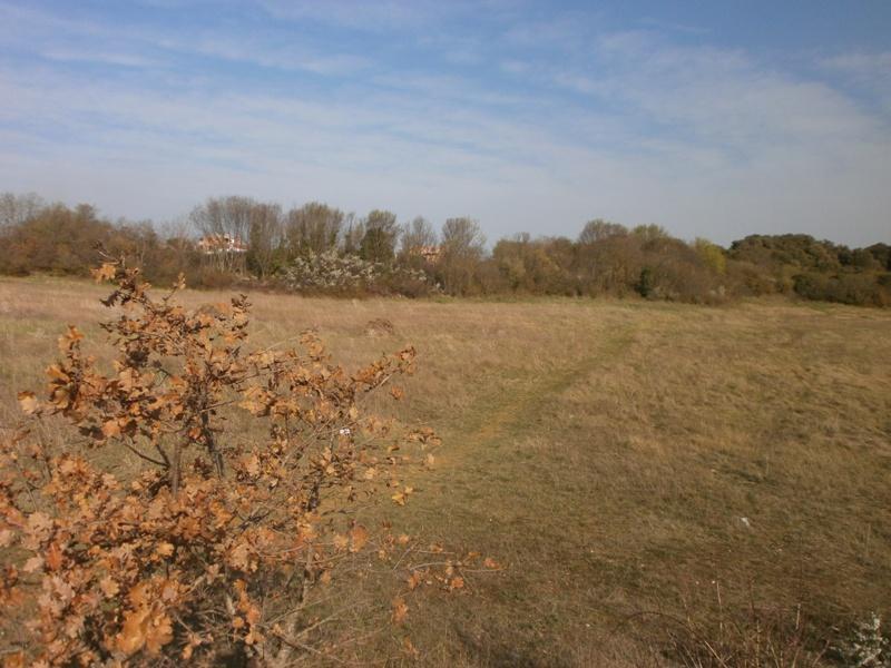 Działka Na sprzedaż VELI VRH