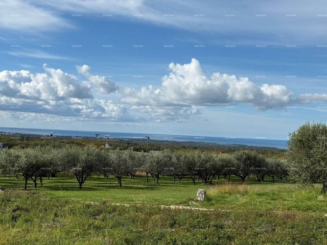 Pozemek Na prodej - Istarska Kaštelir-labinci - foto 2/4