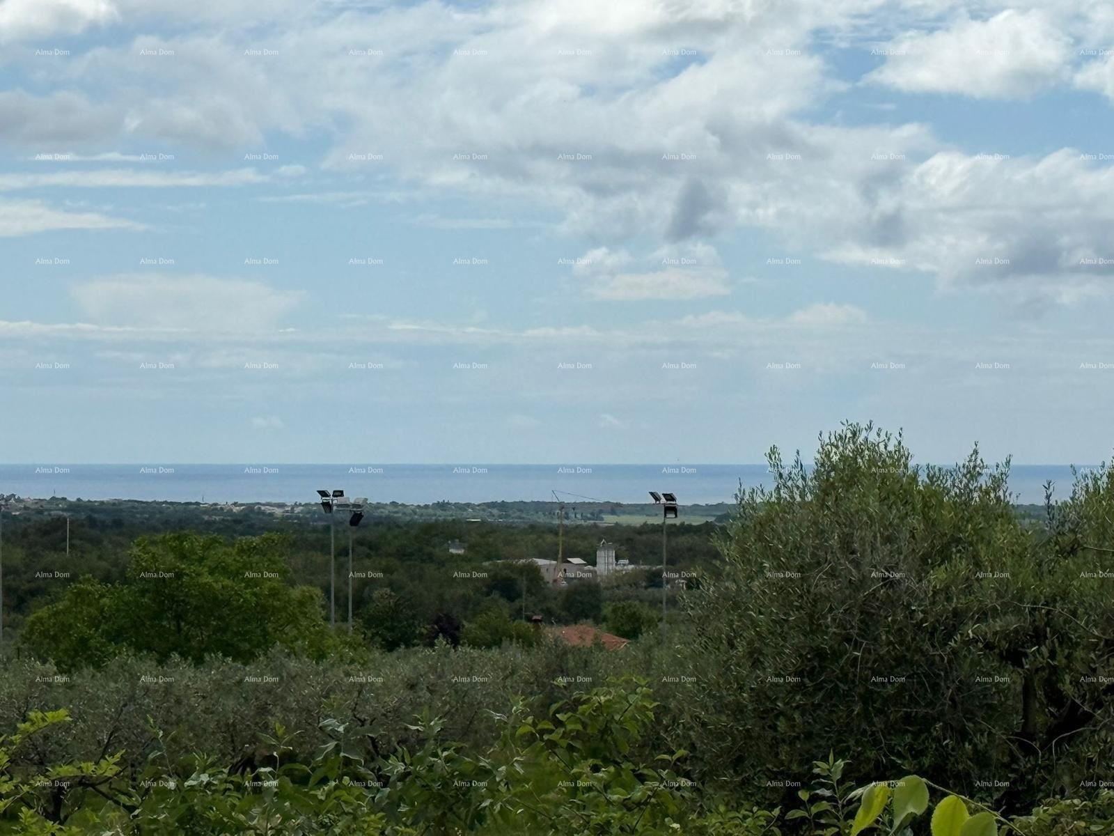 Terreno In vendita LABINCI