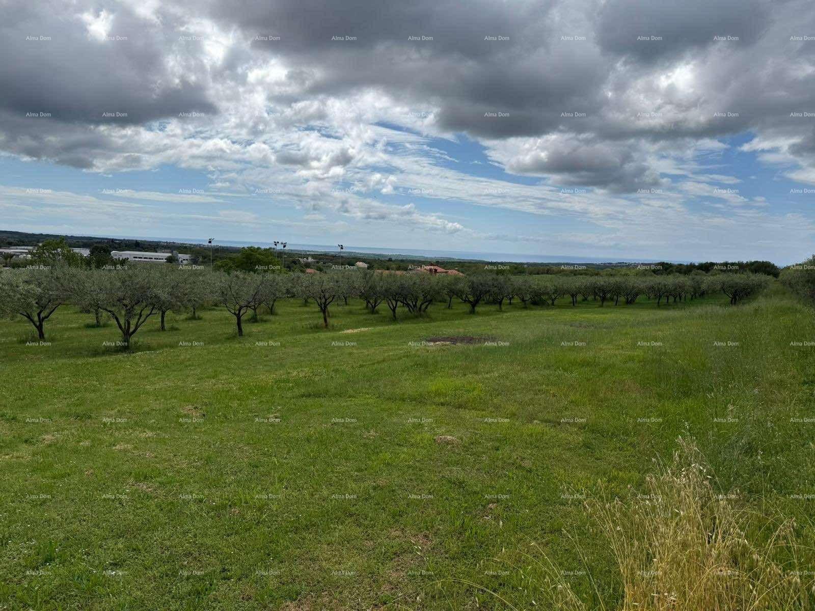 Terreno In vendita - ISTARSKA KAšTELIR-LABINCI