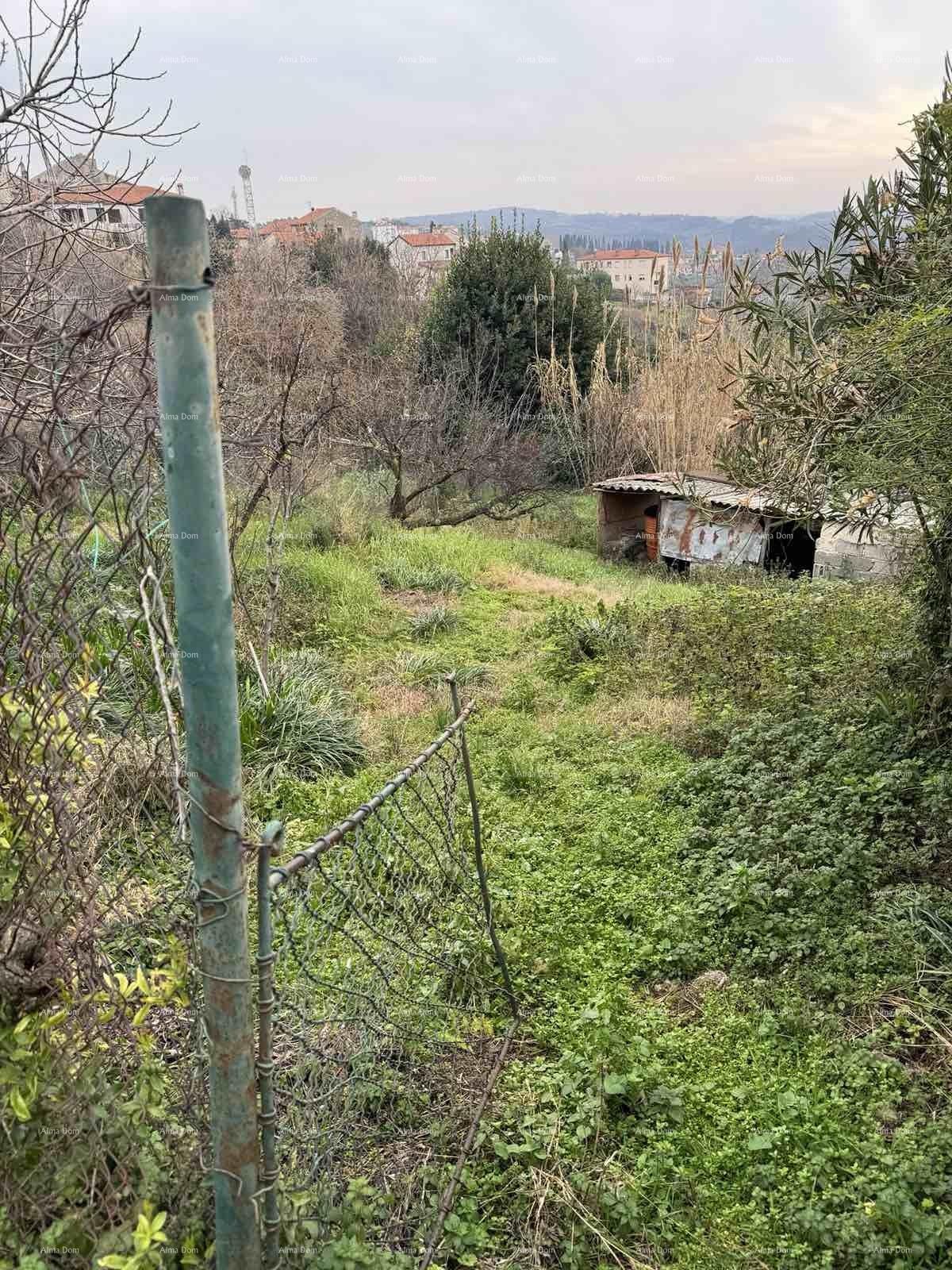 Dom Na predaj - ISTARSKA BUJE