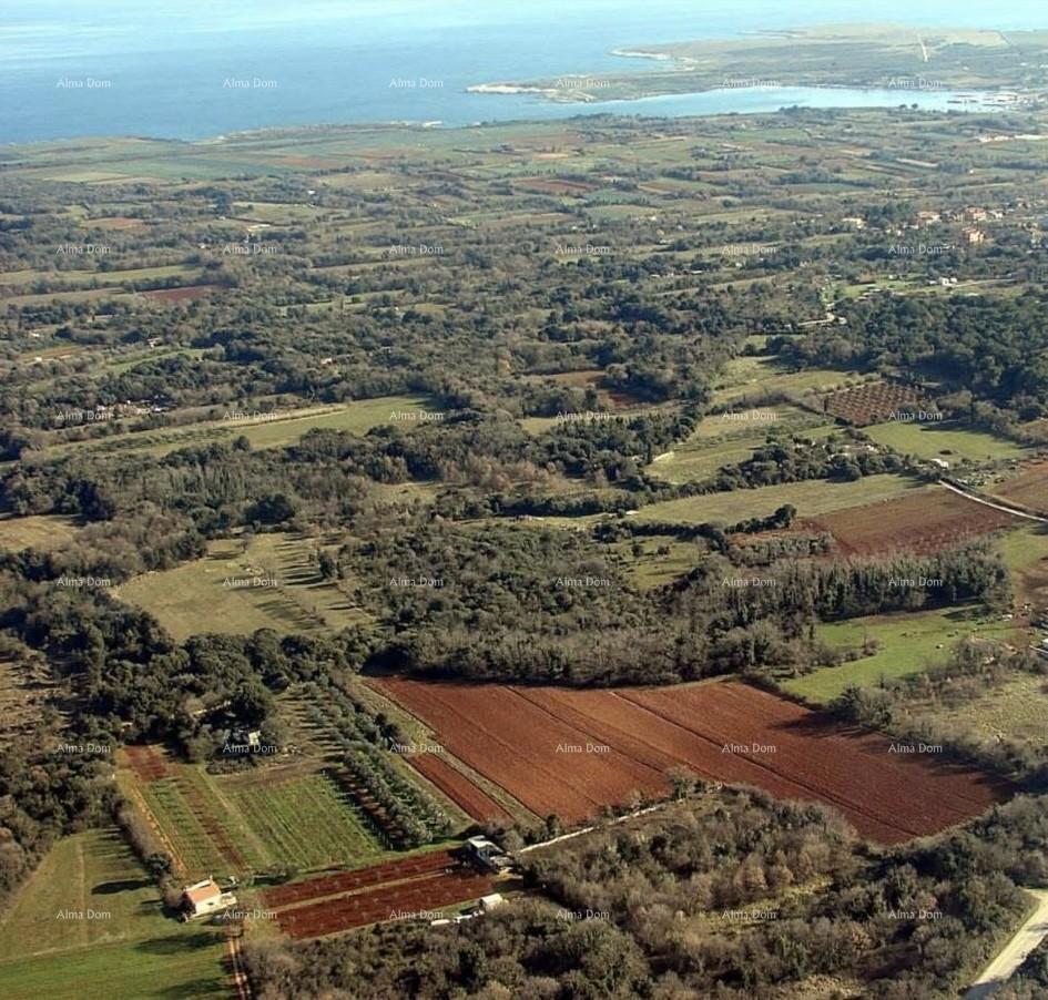 Zemljište Na prodaju - Istarska Ližnjan - foto 1/4