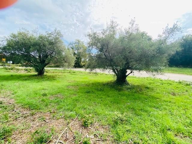 Land For sale - Istarska Marčana - foto 3/4