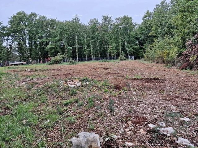 Parcela Naprodaj - Istarska Brtonigla - foto 4/4