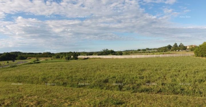 Terreno in vendita 7159 m² – Brtonigla