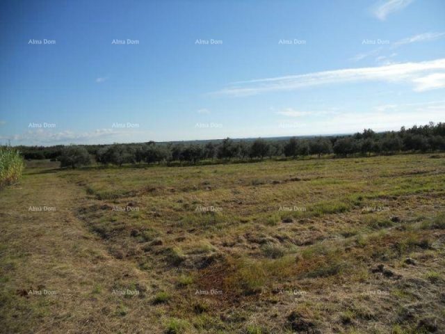 Terreno in vendita 5360 m² – Rogovići