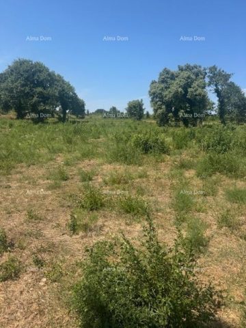 Działka na sprzedaż 4000 m² – Ližnjan