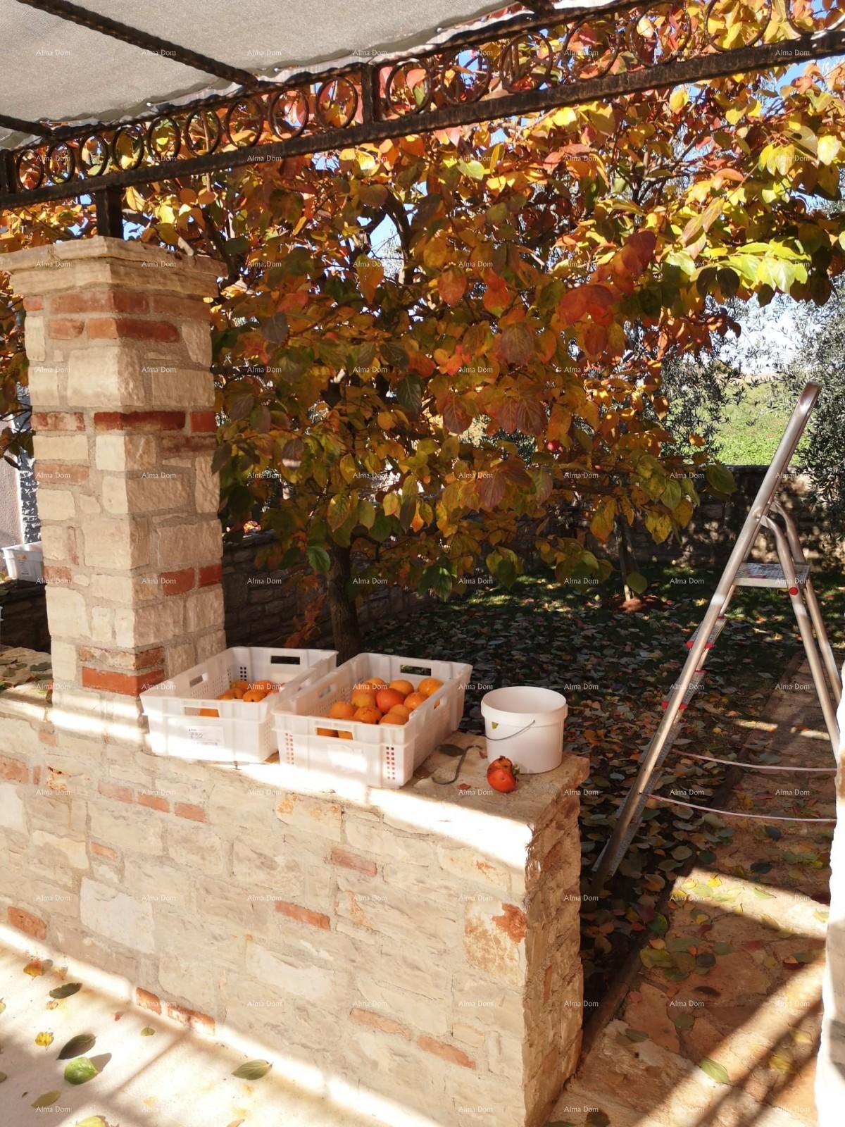 House For sale - ISTARSKA POREč