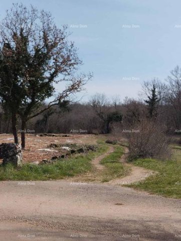 Pozemok Na predaj - Istarska Poreč - foto 4/4