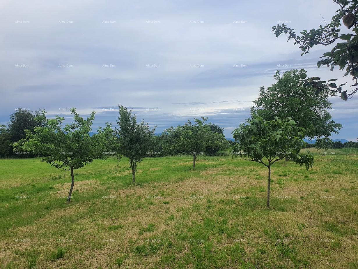 Hiša Na predaj - ISTARSKA BARBAN