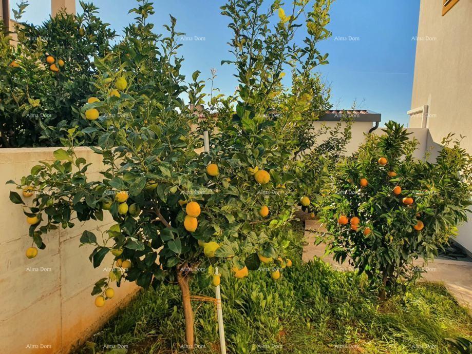 Apartment Zu verkaufen - ISTARSKA PULA