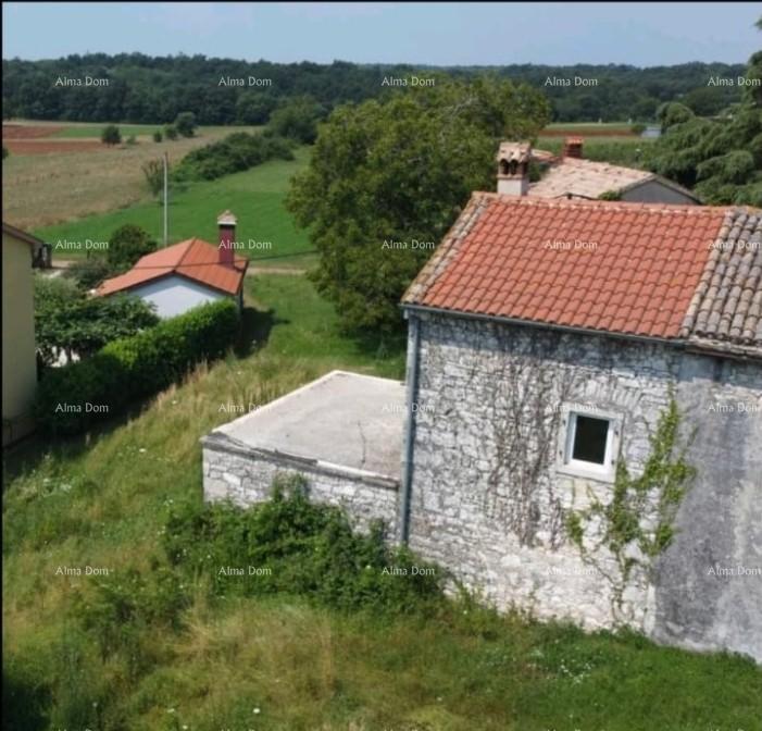 House For sale - ISTARSKA BARBAN