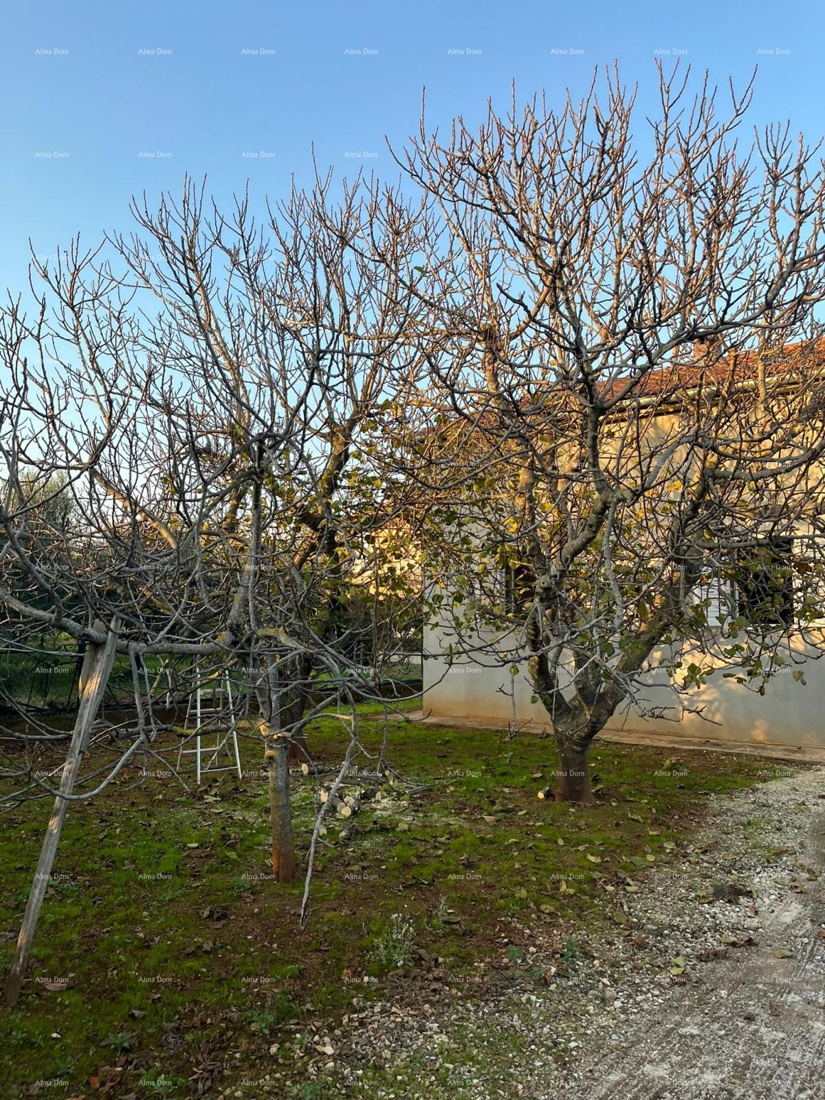 Dům Na prodej - ISTARSKA FAžANA