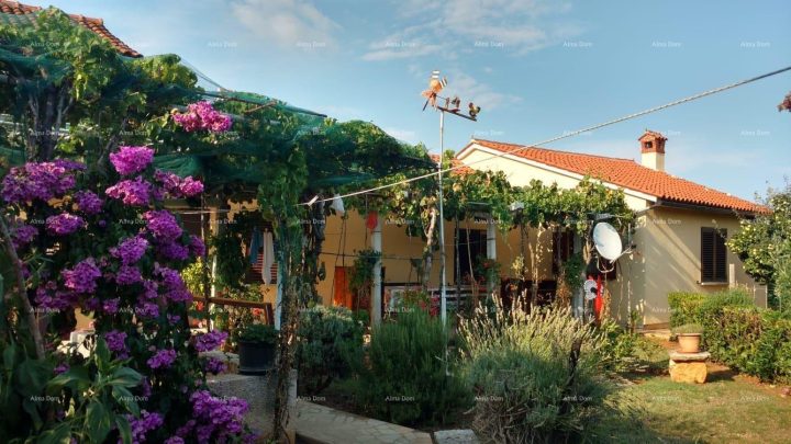 Casa in vendita 175 m² – Kavran