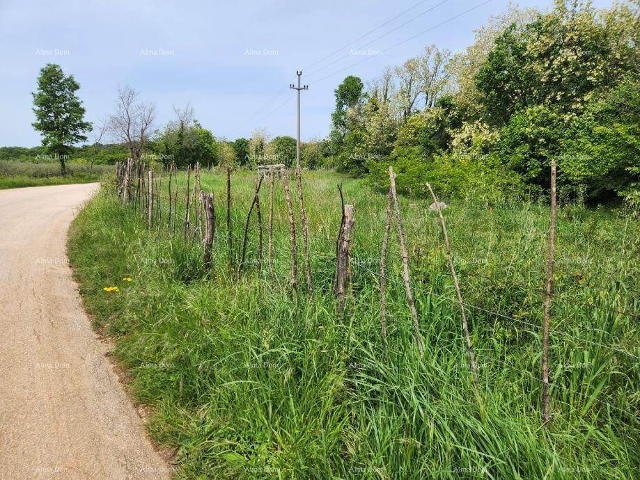 Land For sale - Istarska Višnjan - foto 1/15