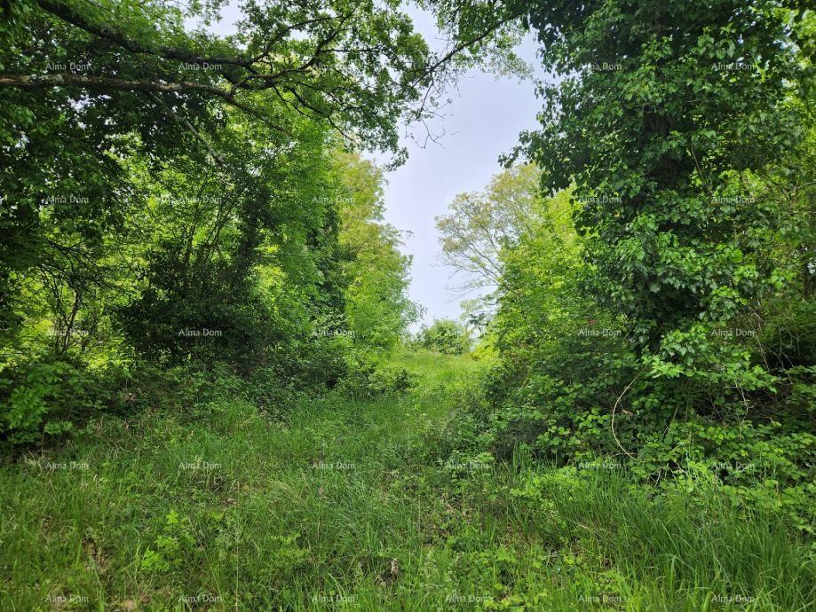 Land For sale - Istarska Višnjan - foto 2/15