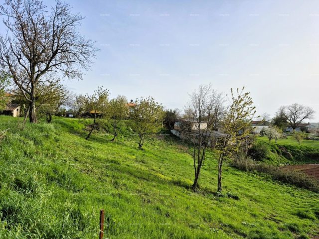 Parcela na predaj 1730 m² – Vadreš