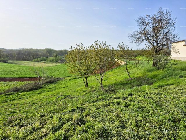 Parcela Naprodaj - Istarska Barban - foto 4/5
