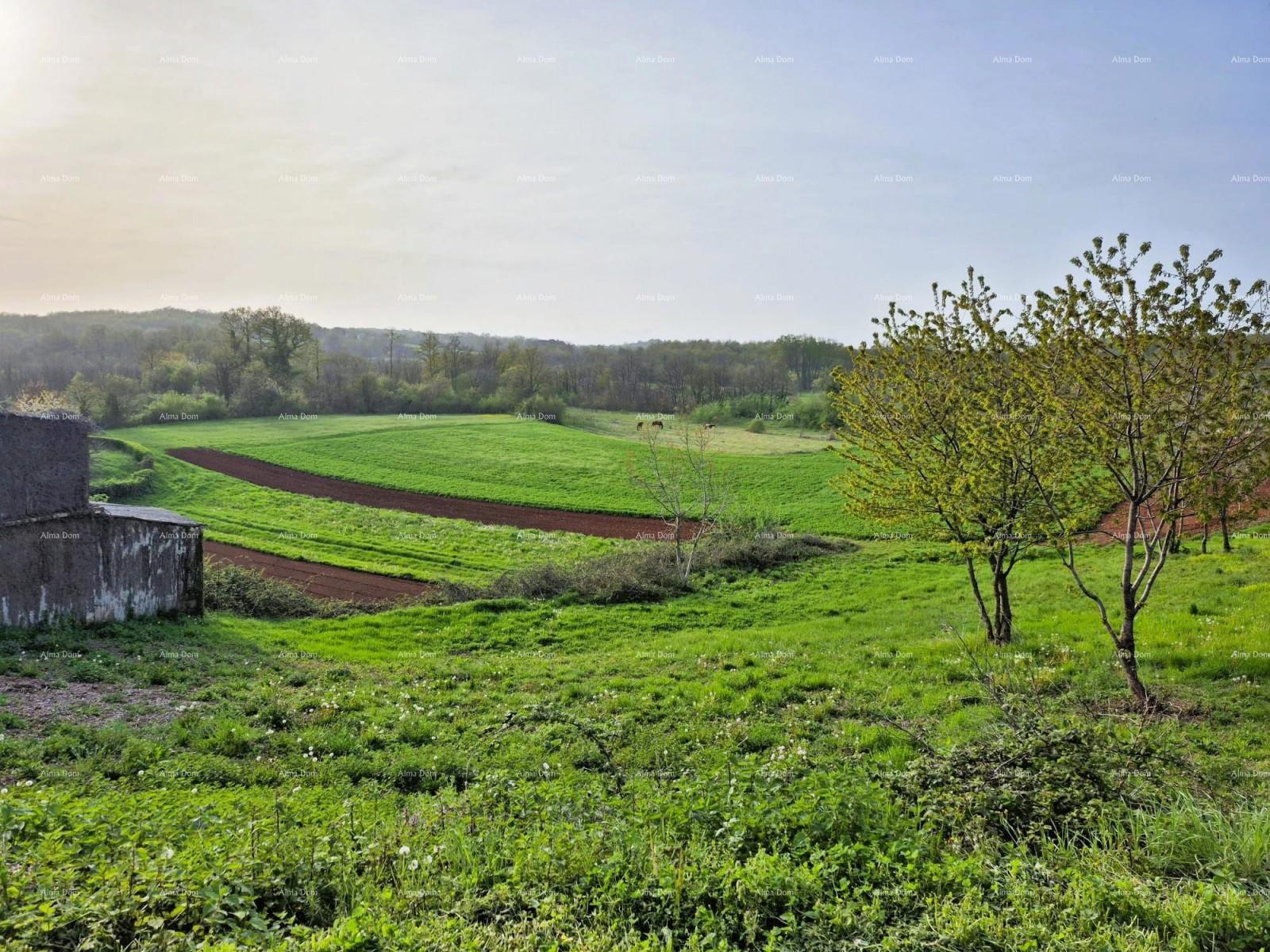 Terrain À vendre - ISTARSKA BARBAN