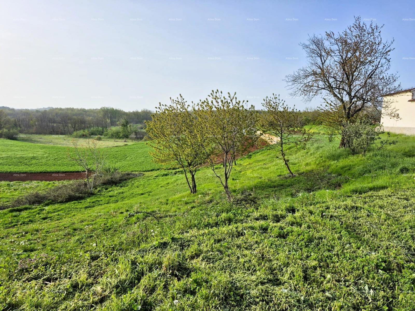Terrain À vendre - ISTARSKA BARBAN