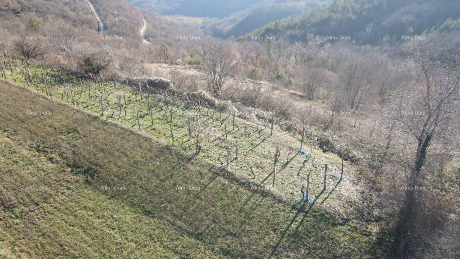 Land For sale - ISTARSKA PAZIN - OKOLICA