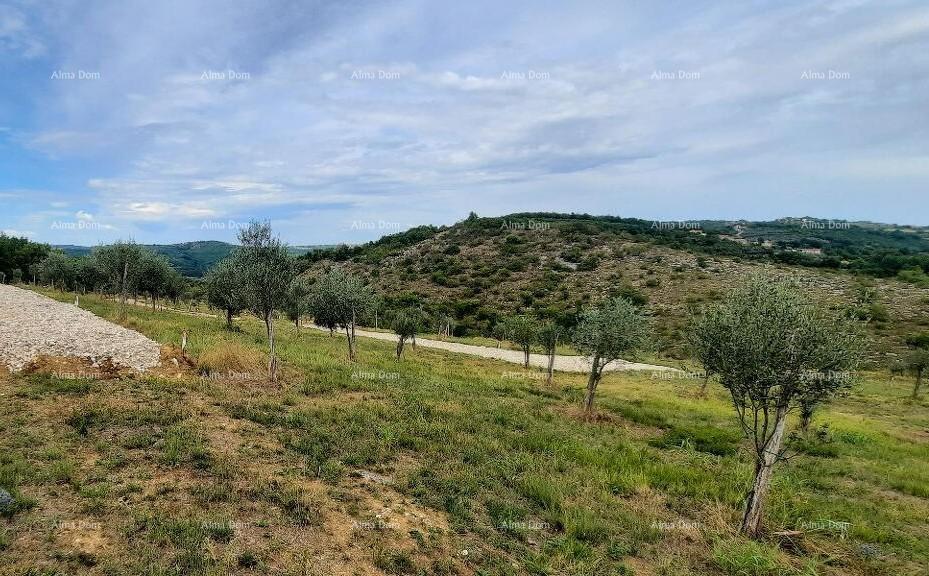 Pozemek Na prodej MOMJAN