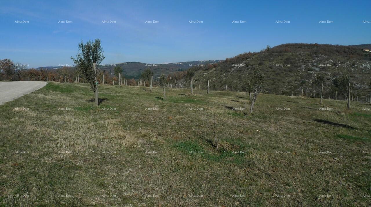 Zemljište Na prodaju - ISTARSKA BUJE