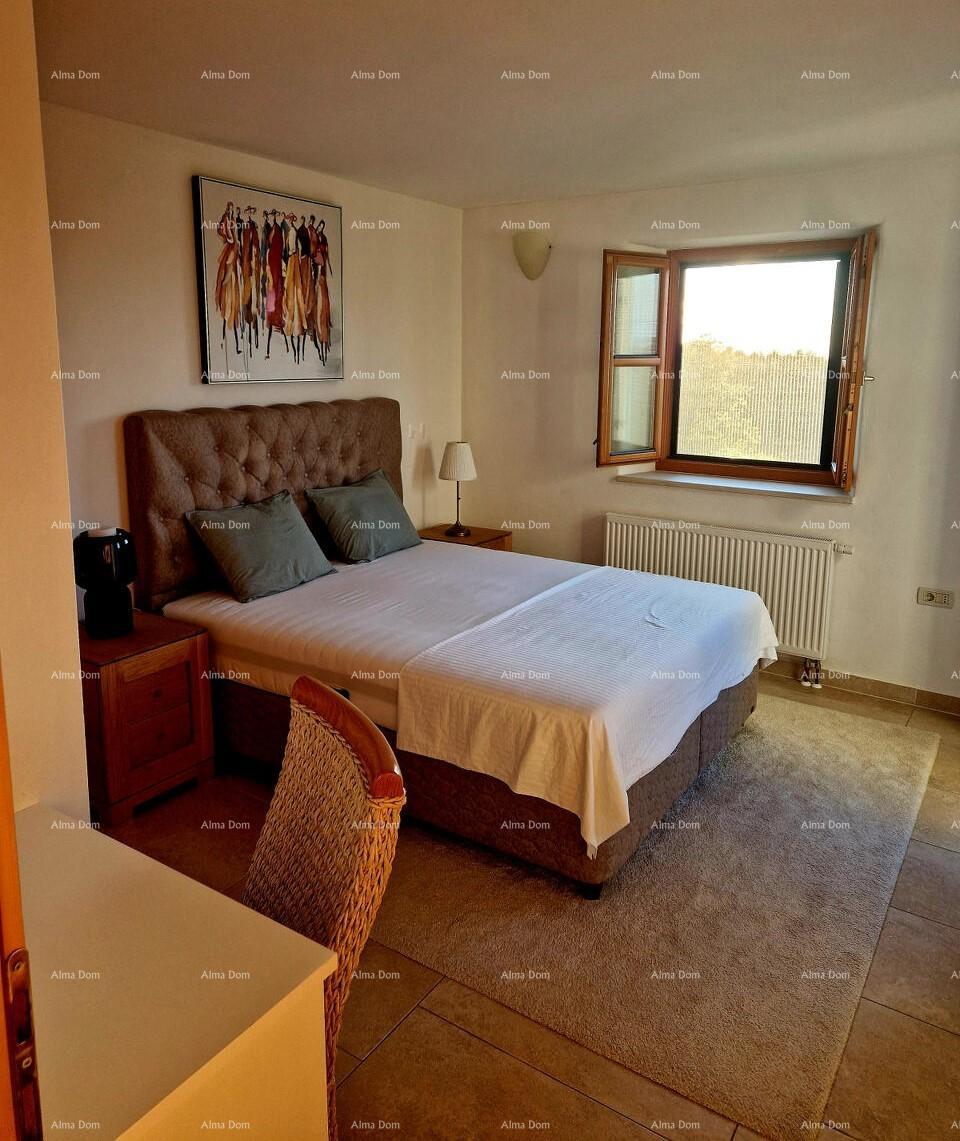 House For sale - ISTARSKA BUJE