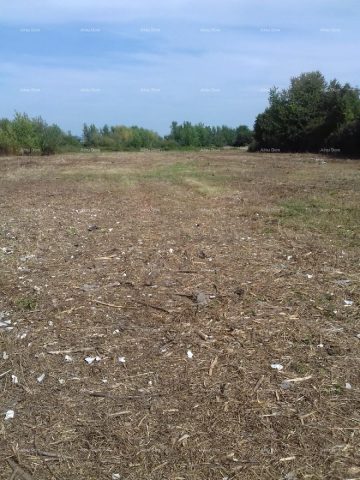 Terrain à vendre 8400 m² – Brezovica