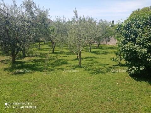 Casa In vendita - Istarska Medulin - foto 5/17